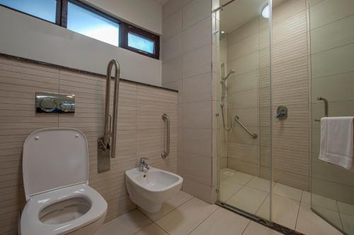 奈瓦沙奈瓦沙索帕湖山林小屋的浴室配有卫生间、淋浴和盥洗盆。