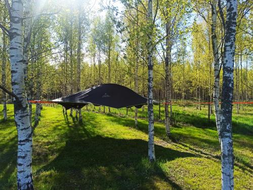 科尔波Hannaksen tila的树林中的一个帐篷