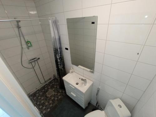 韦克舍Hagavik 8的带淋浴、卫生间和盥洗盆的浴室