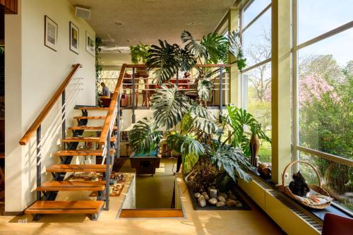 阿姆斯特丹家园酒店的一间设有楼梯和盆栽的客房