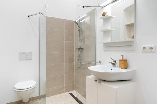 柏林GreatStay - Lohmeyerstr. 13 VH rechts的浴室配有卫生间、盥洗盆和淋浴。