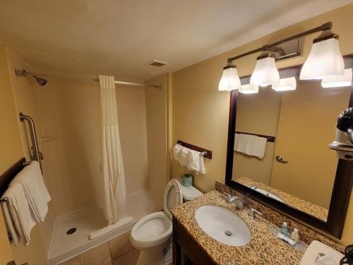 大西洋城弗拉明戈品质酒店的一间带水槽、卫生间和镜子的浴室