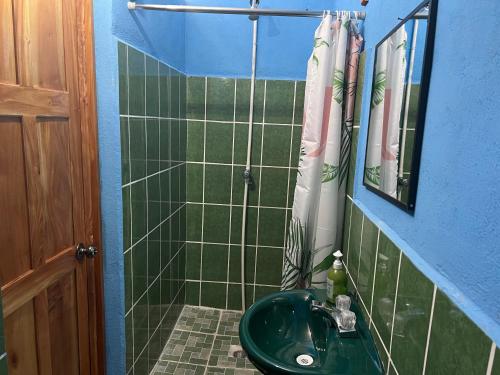 兰金Casa " MARY "的一间带绿色水槽和淋浴的浴室