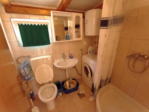 维斯Ana Apartments的一间带卫生间和水槽的小浴室