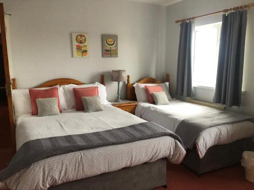 恩尼斯基林Drumcoo Guest House的一间卧室设有两张床和窗户。