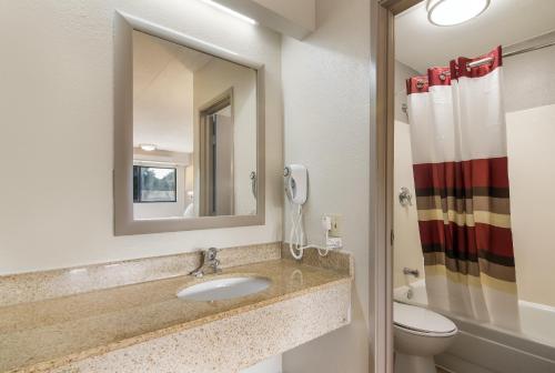 达拉姆红屋顶达勒姆酒店 - 三角公园的一间带水槽、镜子和卫生间的浴室