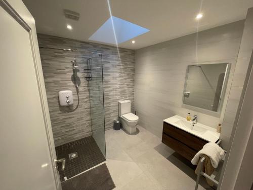 斯莱戈Sea View Lodge的带淋浴、卫生间和盥洗盆的浴室