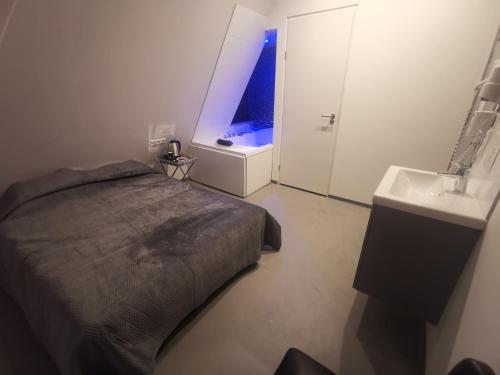 乌得勒支Wellness Suite Utrecht的一间卧室配有一张床,浴室设有水槽