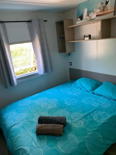 利和米克斯Le mobilhome de Evelyne et Serge的一间卧室设有一张大蓝色的床和窗户