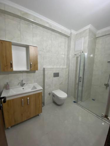 特拉布宗Kıvanç Residence的一间带水槽、卫生间和淋浴的浴室
