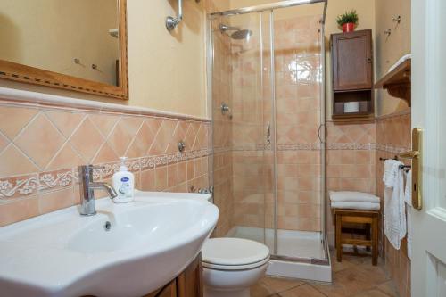 里奥托尔托Appartamento Palmaiola的一间带水槽、卫生间和淋浴的浴室