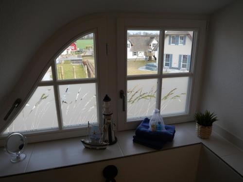 齐罗neben Wismar FH"FaJuKa" Strandnah mit Wallbox的厨房的两扇窗户俯瞰着庭院
