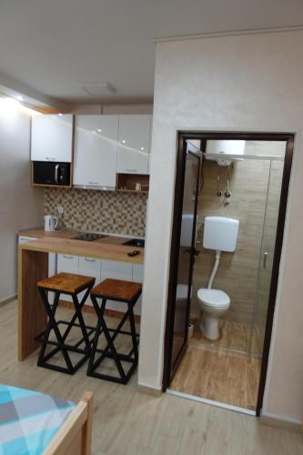 LukovoSTIV Apartmani的一间带卫生间和水槽的小厨房