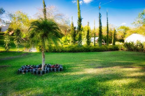 SanarateCasa Santa Teresita - Cabaña familiar tipo glamping的院子中间的棕榈树