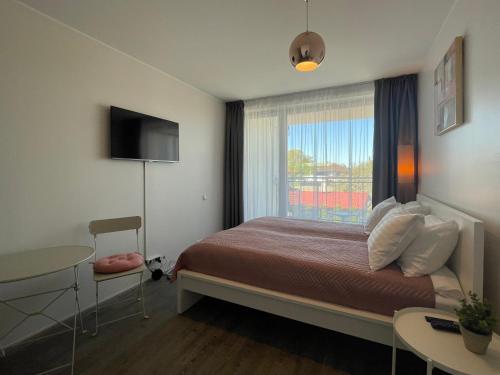 派尔努Aisa Studio的一间卧室配有一张带窗户和桌子的床