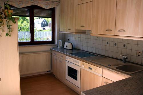HormersdorfFerienwohnung am Kieferberg的厨房配有木制橱柜、水槽和窗户。