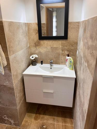 Santo-Pietro-di-TendaCastagnu的浴室设有白色水槽和镜子