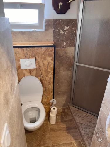 Santo-Pietro-di-TendaCastagnu的一间带卫生间和淋浴的小浴室