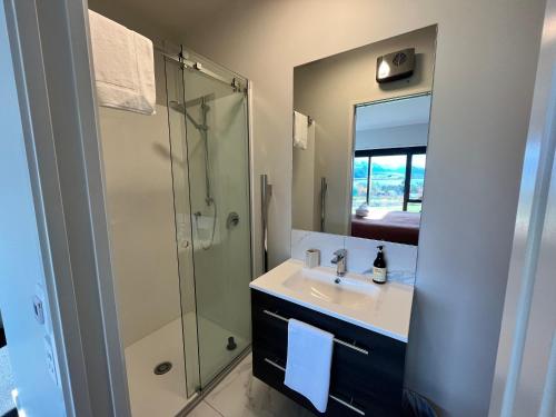 特卡波湖Starry Vista-Alpha的浴室配有盥洗盆和带镜子的淋浴