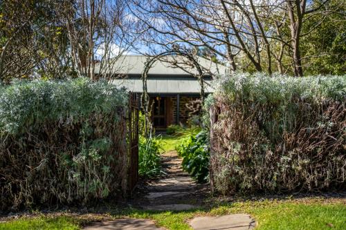 麦克拉伦谷Secret Garden - Luxury Cottage - Giant 85inch TV的一座花园,在一座建筑前有两片大灌木丛