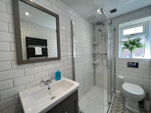 塞拉戴克Dragonfly - HOT TUB luxury two bedroom cottage的一间带水槽、淋浴和卫生间的浴室
