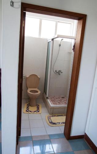 特鲁欧克比赫斯The Impala Mauritius Bed & Breakfast的带淋浴和卫生间的浴室