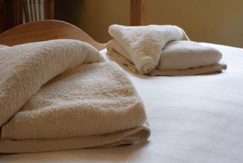 利兹公园住宿加早餐旅馆的床上的两条毛巾