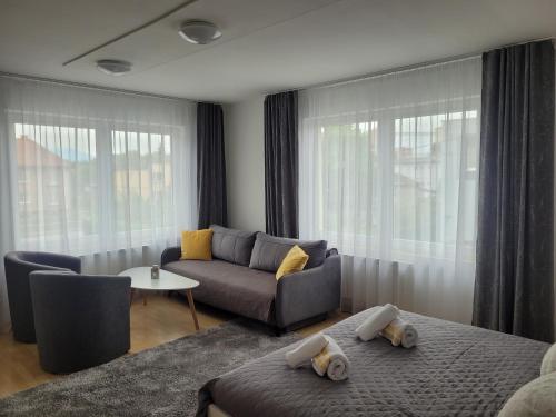 马汀Apartman centrum v súkromí的带沙发、沙发和窗户的客厅