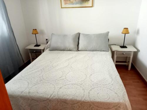 CampanoCasa rural El Limonero的一间卧室配有一张床、两个床头柜和两盏灯。