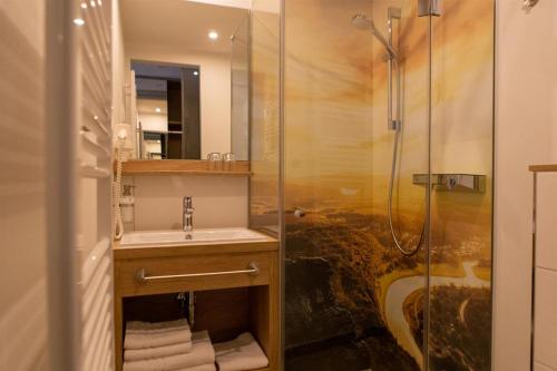 巴特尚道Hotel garni Grundmühle的一间带水槽和淋浴的浴室
