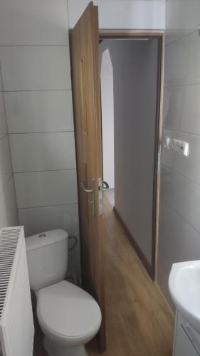 克罗奇琴科Domek na Górce的一间带卫生间和水槽的浴室