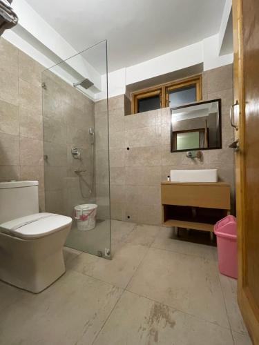列城拉达克格林斯酒店的浴室配有卫生间、盥洗盆和淋浴。