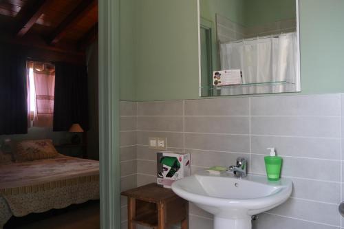 拉瓦斯蒂达Casa Rural Osante的一间带水槽和镜子的浴室以及一张床