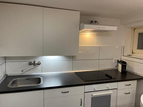 代特莫尔德Detmold - Hiddesen - Premium - Appartement的厨房配有白色橱柜和水槽