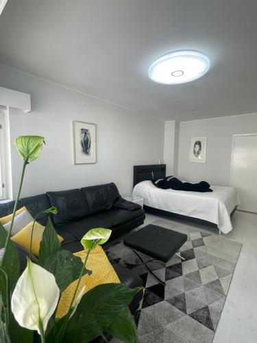 赫尔辛基Go欢乐之家公寓的客厅配有沙发和1张床