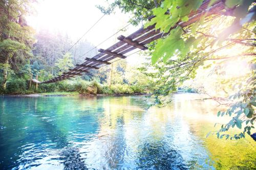 Görisried泽姆赫希酒店的森林中河流上的悬索桥