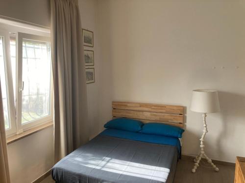 萨尔扎纳Il Gelsomino Garden Suite的一间卧室配有一张带蓝色枕头的床和一扇窗户。