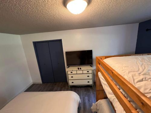哥德伍德Rustic Girdwood Condo的一间卧室配有两张床和一台平面电视