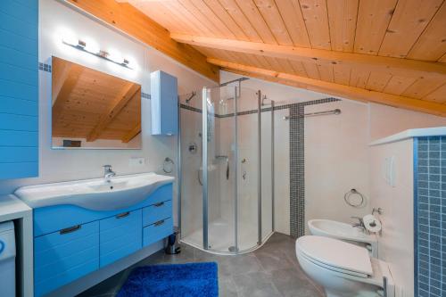 GriesAppartement Schusterhof的带淋浴、卫生间和盥洗盆的浴室