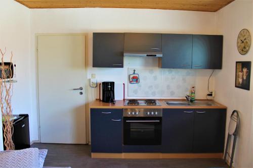 StäbelowLro的厨房配有蓝色橱柜和炉灶烤箱。