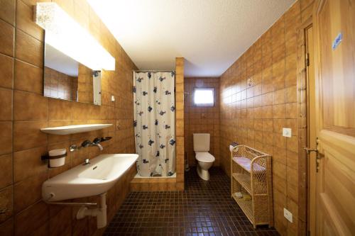 阿尔瓦努Ferienhaus Alvaneu für Familien的一间带水槽和卫生间的浴室