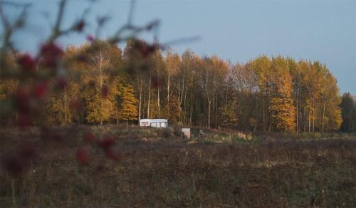 PozezdrzeRent a tent - Namiot w Praekologicznym gospodarstwie的树木林立的田野中的房子