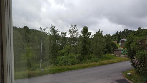 HällevadsholmHällevadsholm的从树木林立的路窗欣赏风景