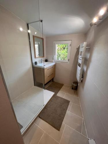 普瓦捷• Bel appartement - centre historique de Poitiers的带淋浴和盥洗盆的浴室