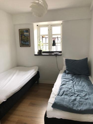 欧登塞Bækgaardens bed and breakfast的一间卧室设有两张床和窗户。
