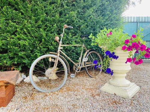 Félines-TermenèsAux Berges du Libre的一辆自行车停在灌木丛旁边,花丛中