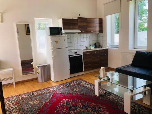 哥本哈根A1住宿公寓的厨房配有白色冰箱和黑炉