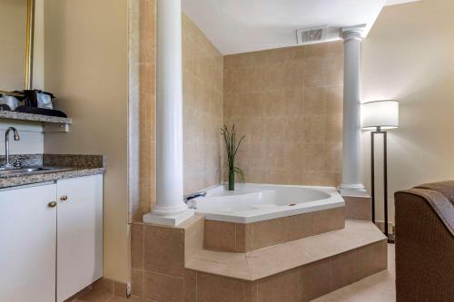Comfort Suites Myrtle Beach Central的一间浴室