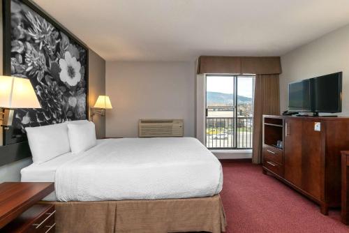 弗农速8弗农酒店的酒店客房设有一张床和一个大窗户