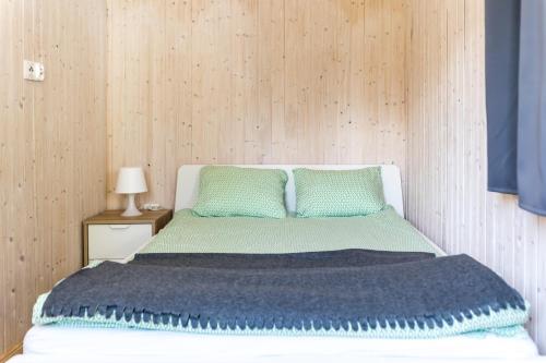 波别罗沃Domki Aqua Holiday的一张带蓝色毯子和两个绿色枕头的床
